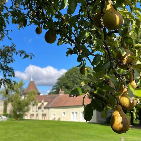 Le Petit Chateau Baye  ภายนอก รูปภาพ